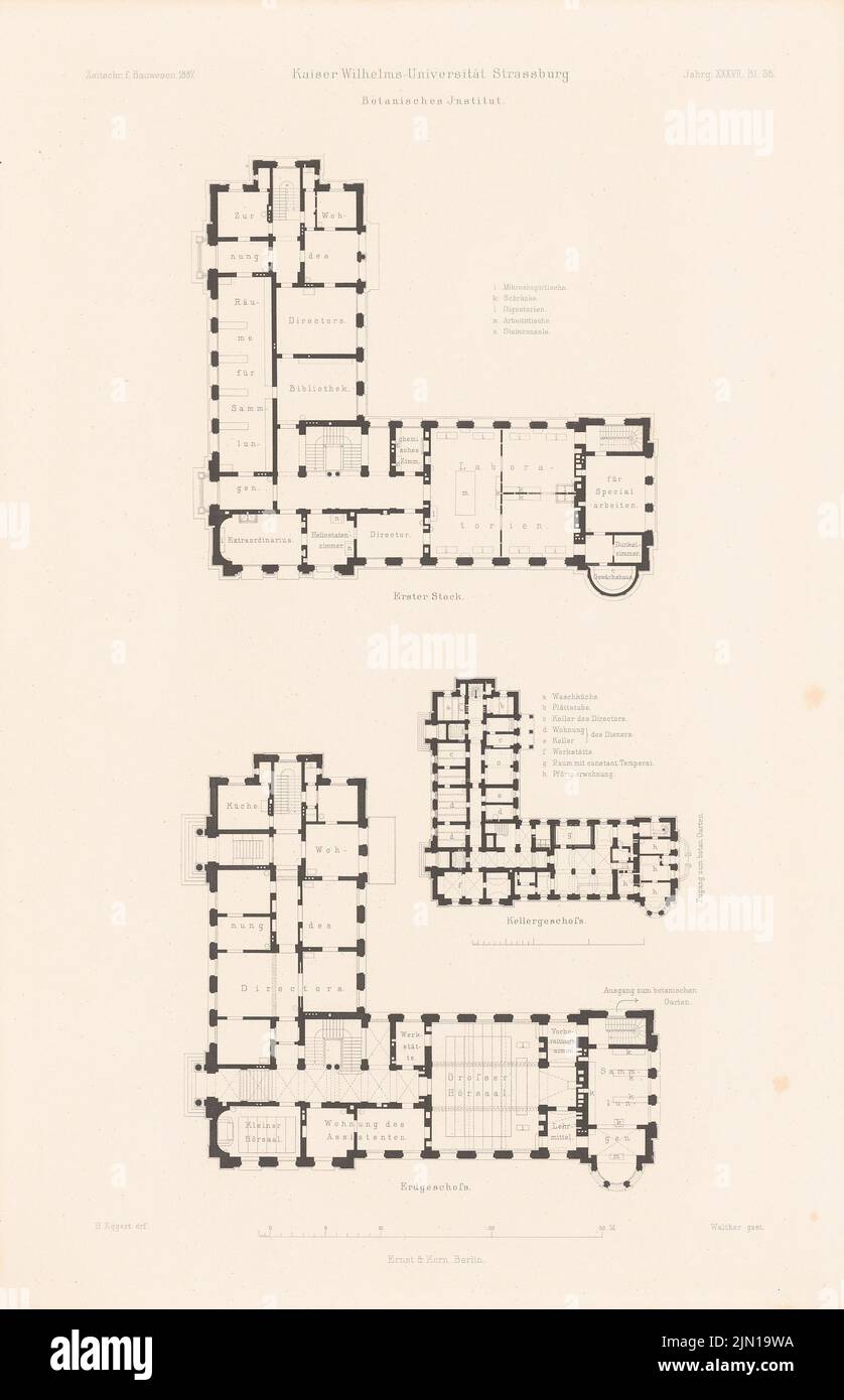 Eggert Hermann (1844-1920), Botanisches Institut der Kaiser-Wilhelms-Universität in Straßburg. (Aus: Atlas zur Zeitschrift für Gebäude, hrsg. v. F. Endell, Jg. 37, 1887) (1887-1887): Grundriss Keller, EG, 1.. Etage. Stich auf Papier, 45,9 x 29,6 cm (inklusive Scan-Kanten) Eggert Hermann (1844-1920): Botanisches Institut der Kaiser-Wilhelms-Universität Straßburg. (Aus: Atlas zur Zeitschrift für Bauwesen, hrsg. v. F. Endell, Jg. 37, 1887) Stockfoto