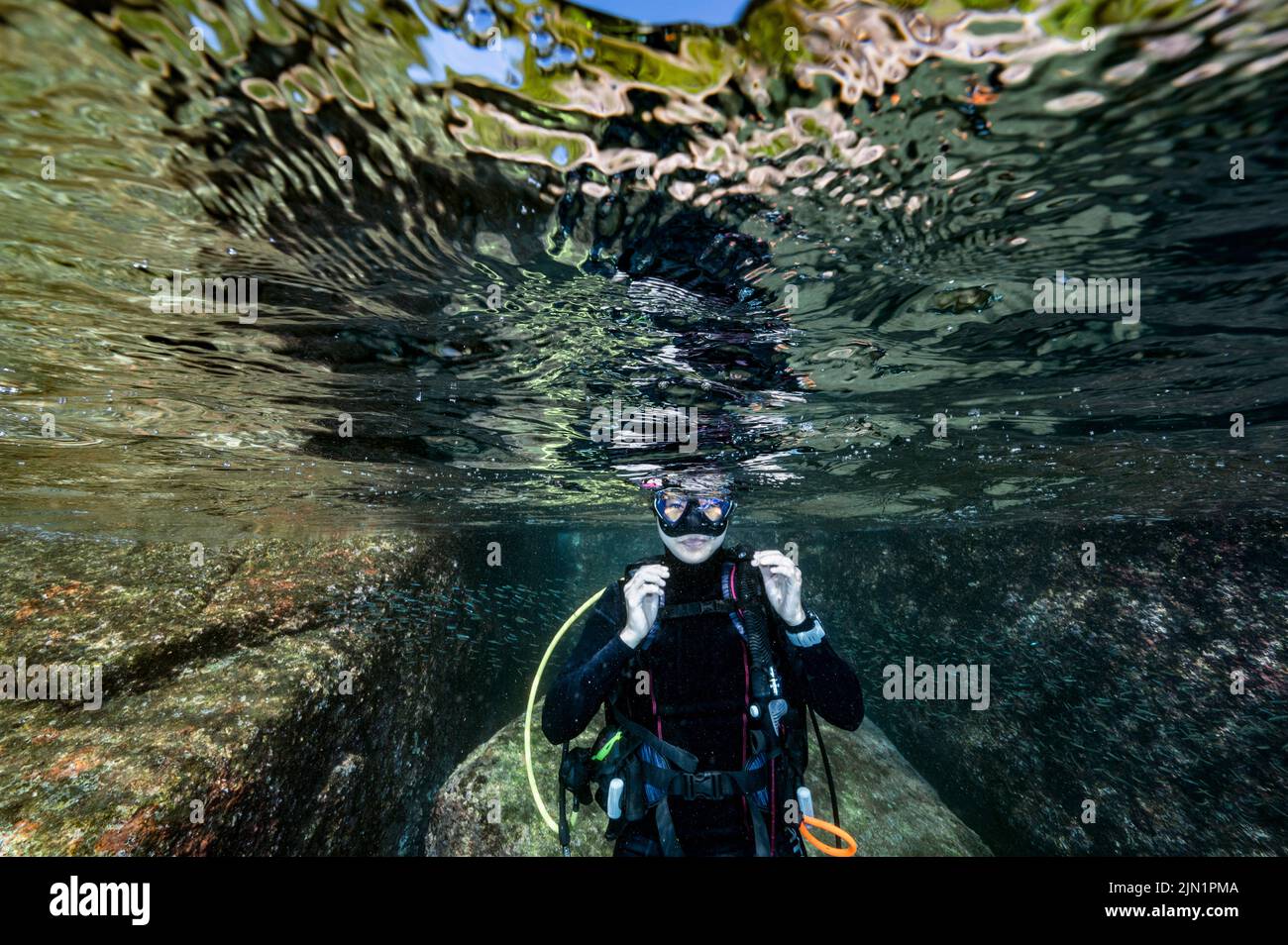 die unterwasserwelt der Andamanensee liegt in den tropischen Gewässern der andamanensee Stockfoto