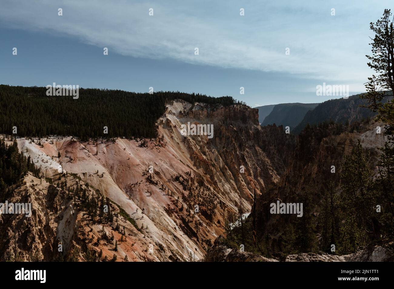 Grand Canyon des Yellowstone National Park Stockfoto