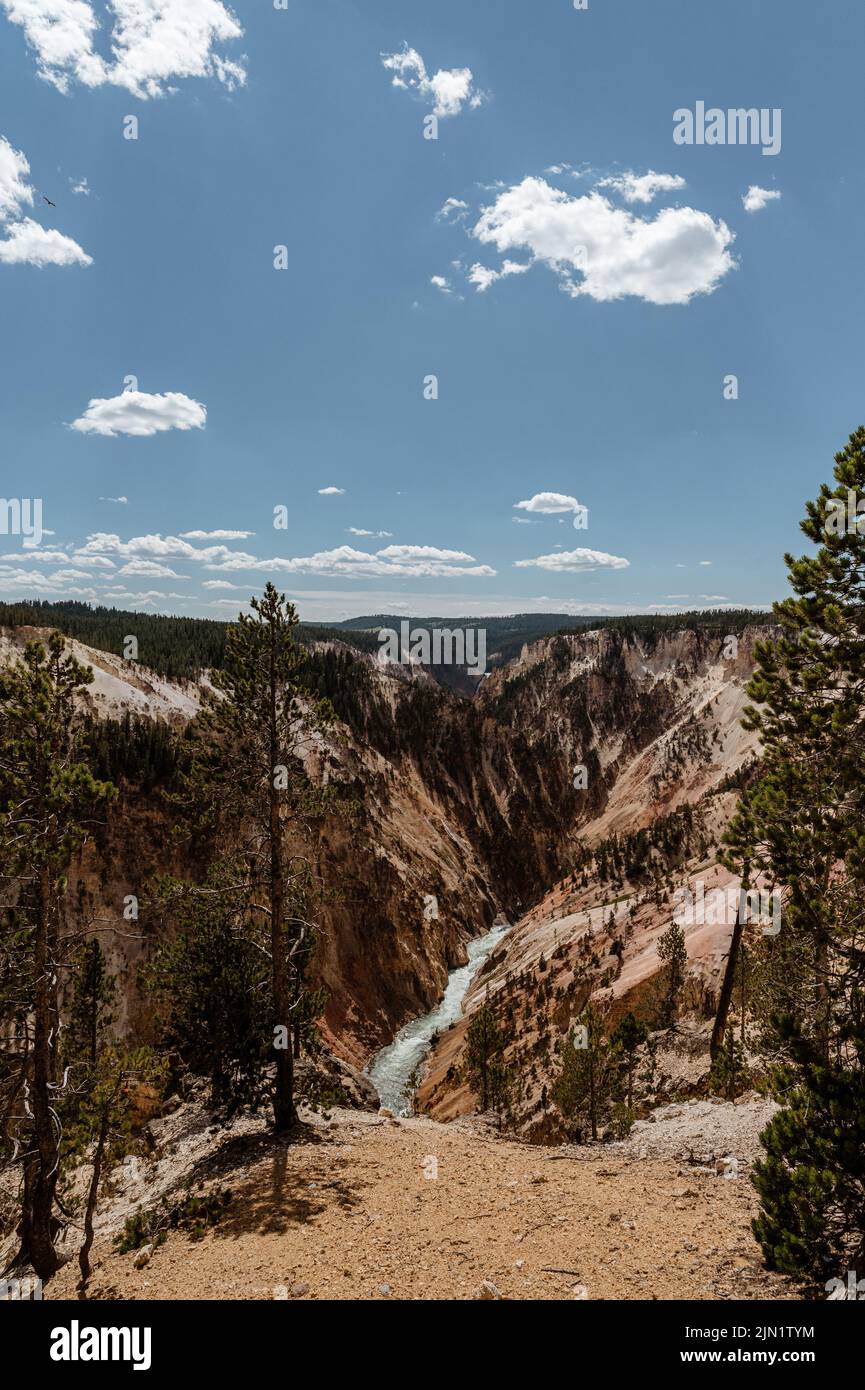 Grand Canyon des Yellowstone National Park Stockfoto
