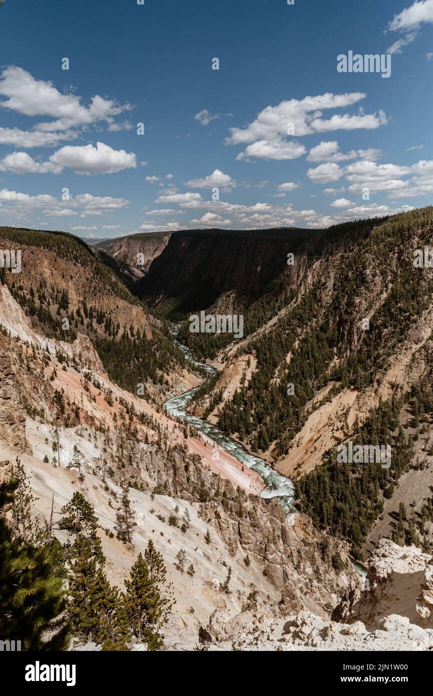 Grand Canyon des Yellowstone National Park Stockfoto