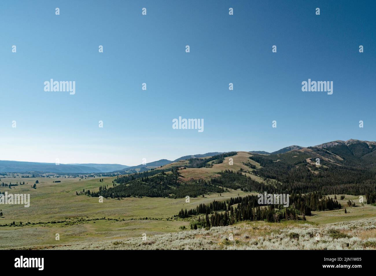 Grand Loop Scenery im Yellowstone National Park Stockfoto