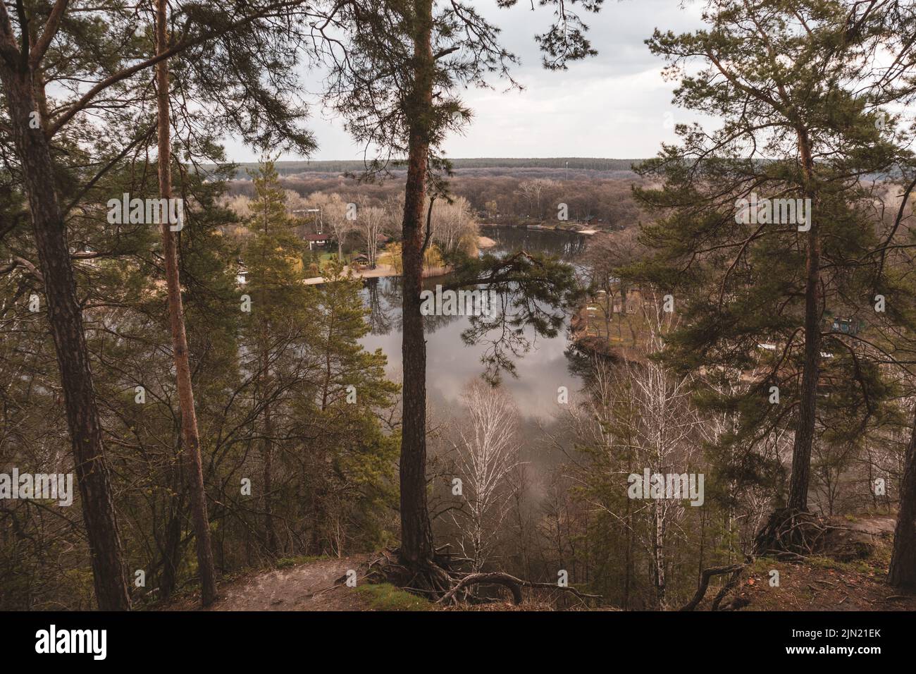 Malerische Aussicht auf den Fluss mit hohen Pinien. Kosakenberg (Gomilshanski-Wald, Dorf Koropove) am Fluss Siwerskyi Donez in der Ukraine Stockfoto