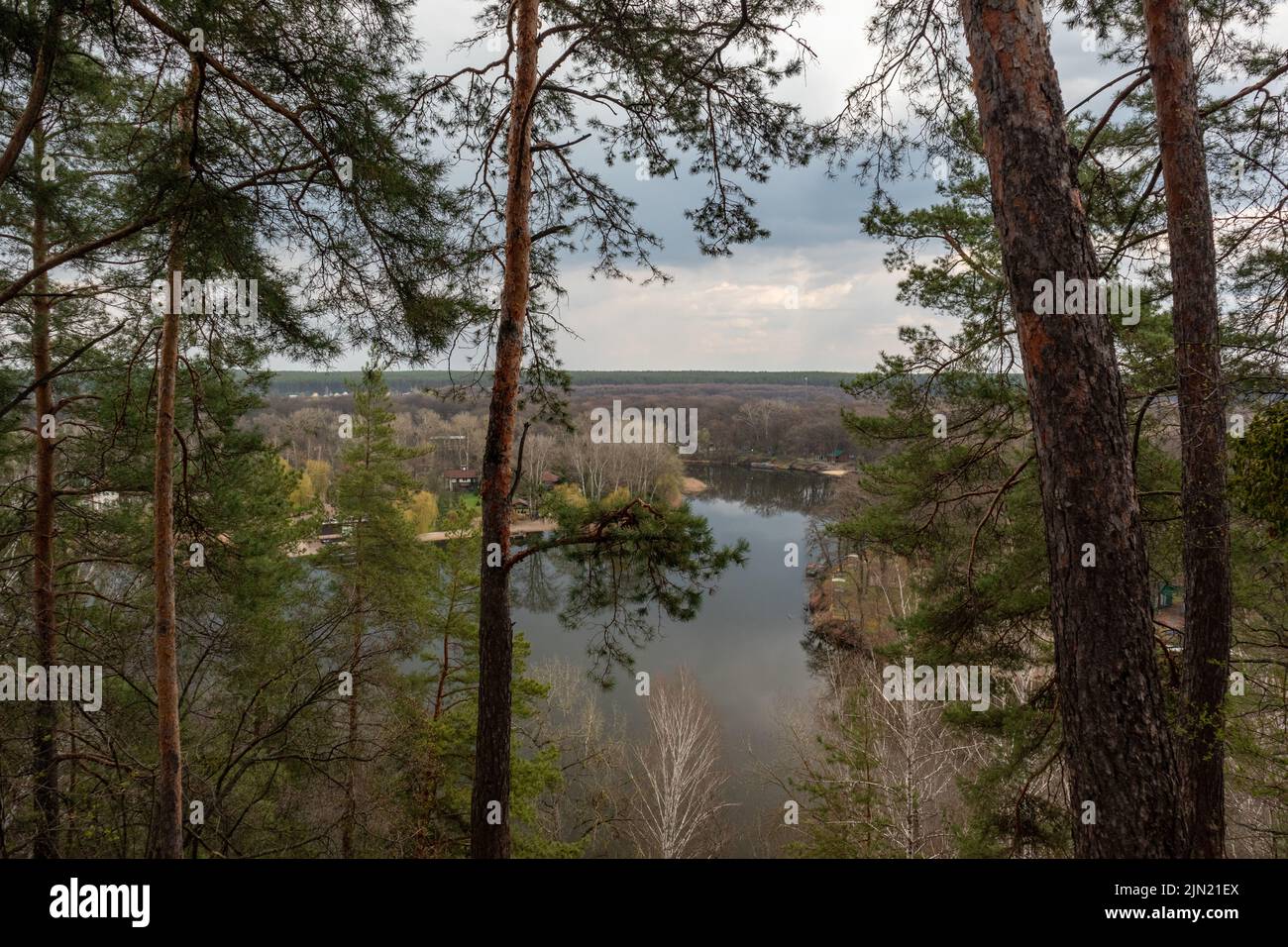 Blick auf den Frühling auf den Fluss mit Pinienwäldern. Kosakenberg, Korobovy Hutora (Gomilshanski-Wald, Dorf Koropove) auf Siverskyi Donets Stockfoto