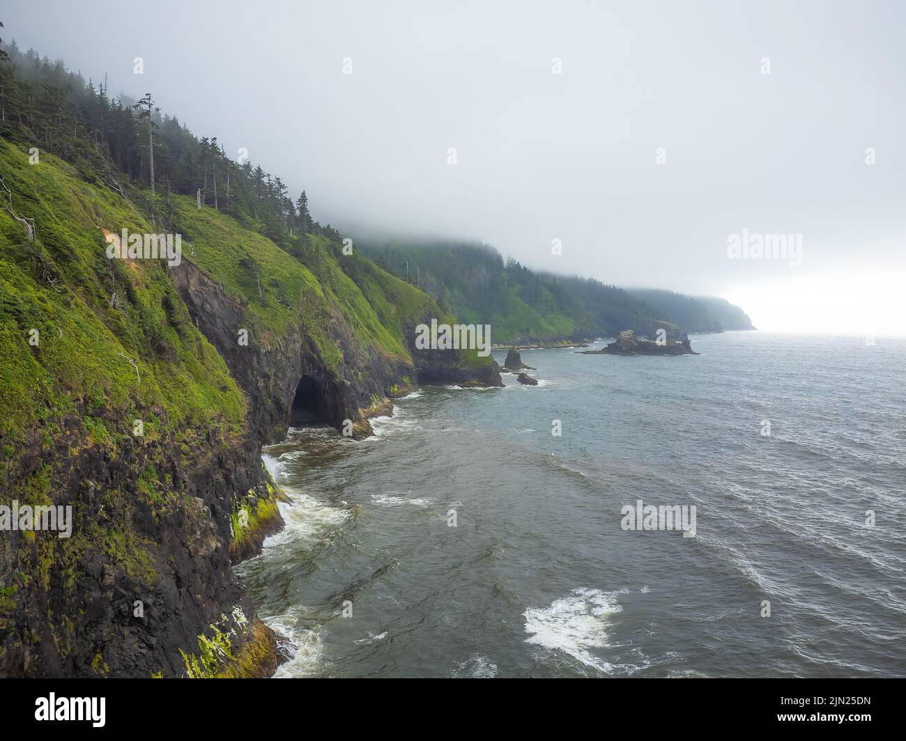 Seascape. Eine lange Bergkette in der Nähe des Ozeans, überwuchert mit grünem Moos und Gras. Ruhe im Meer. Düsterer grauer Himmel. Die Schönheit der unberührten Natur Stockfoto