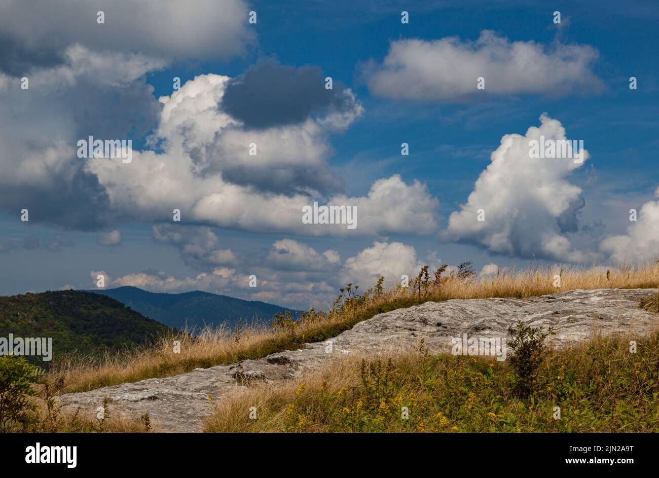 Black Balsam und Graveyard Fields Bereich auf dem Blue Ridge Parkway in der Nähe von Asheville, NC Stockfoto