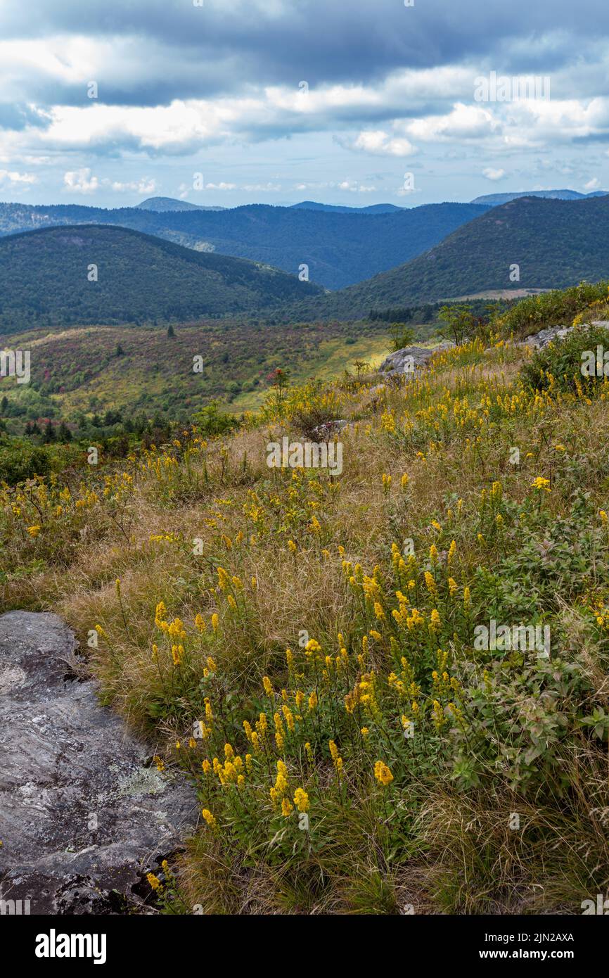 Black Balsam und Graveyard Fields Bereich auf dem Blue Ridge Parkway in der Nähe von Asheville, NC Stockfoto