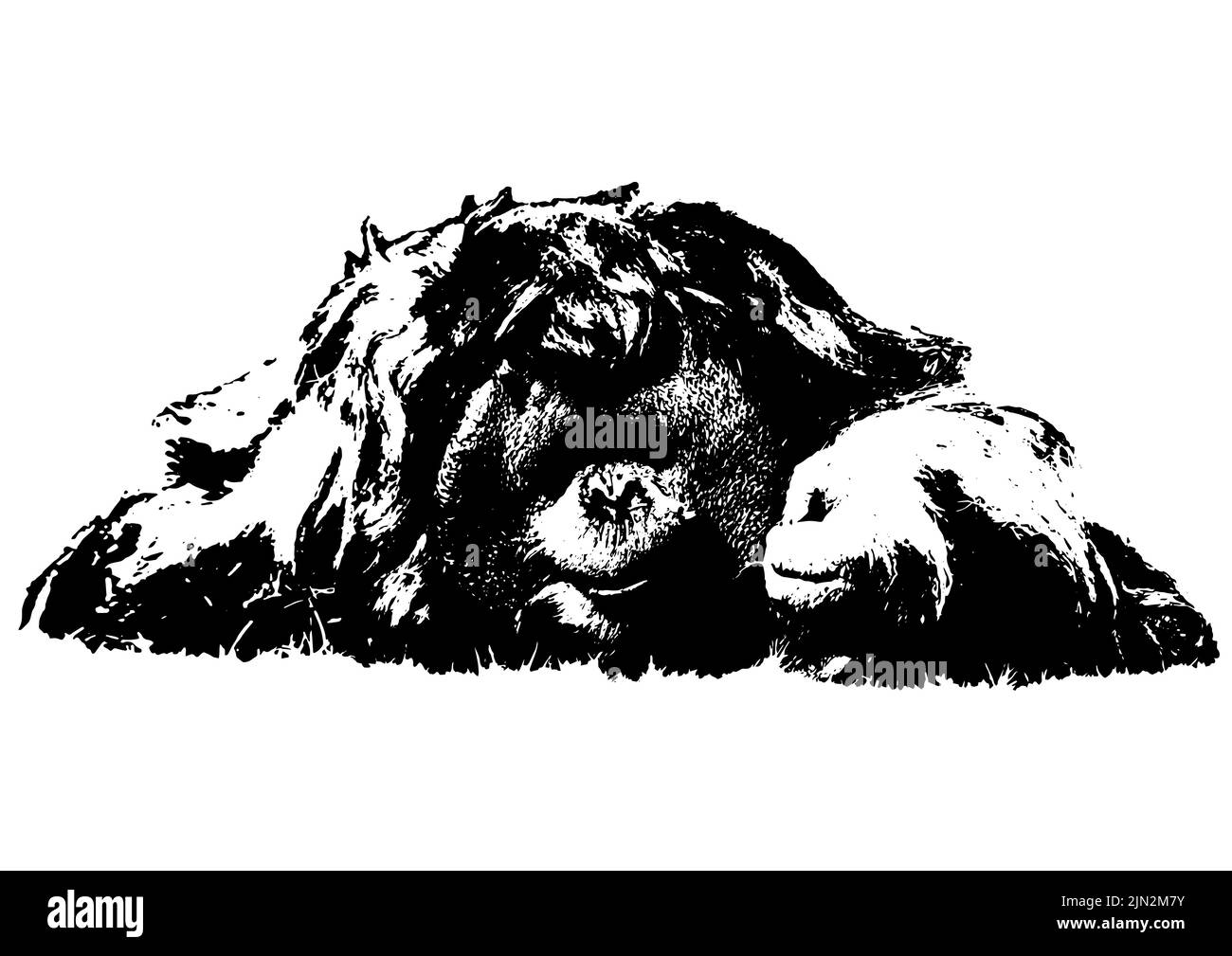 Orang-Utan-Druckgrafiken, Tierschutzkampagnen und Merchandise-Designs. Zoodruck-Logo oder T-Shirt-Design mit Orangotango. Tierschutz Stockfoto