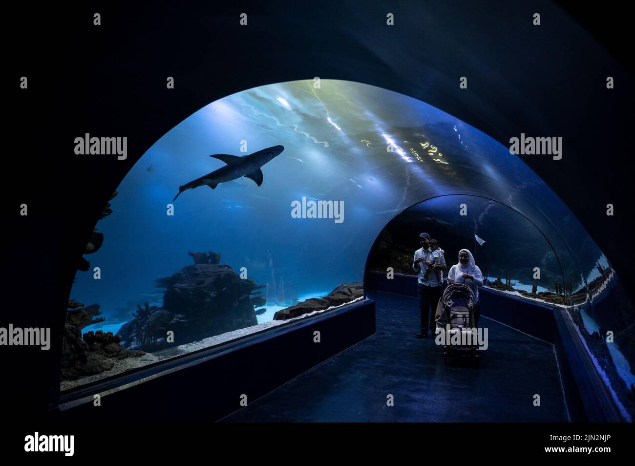 Ein Paar, das sein Baby trägt, geht durch einen Unterwassertunnel, während ein Hai am Atlantis Aquarium vorbeikommt. Stockfoto