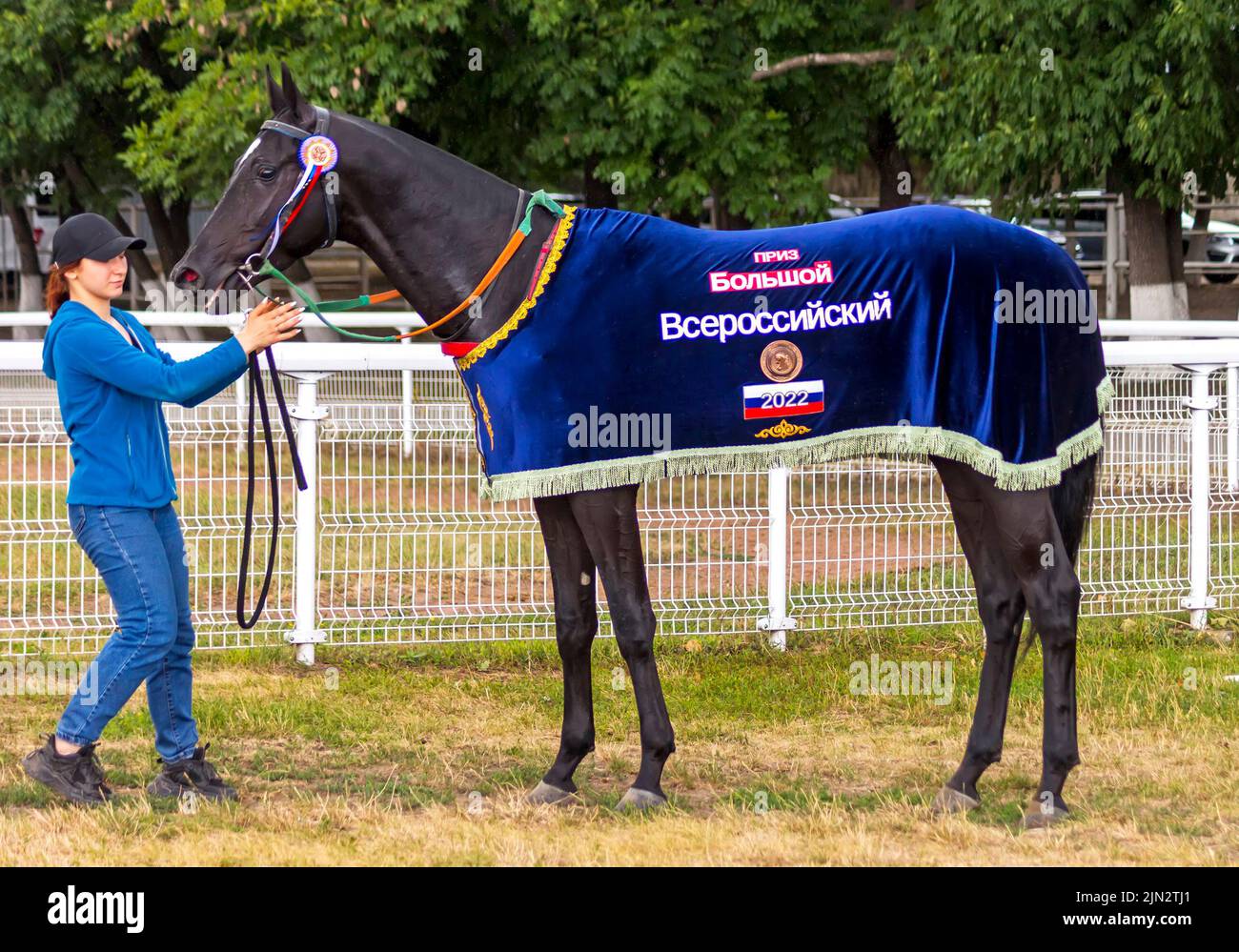 Schwarzer akhal-teke-Hengst Mugam - Gewinner des Großen Allrussischen Derby-Preises auf dem Hippodrom Pyatigorsk, 2022 Stockfoto