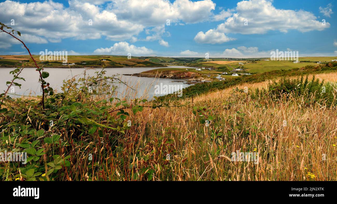 West Cork Scenery, Irland Stockfoto