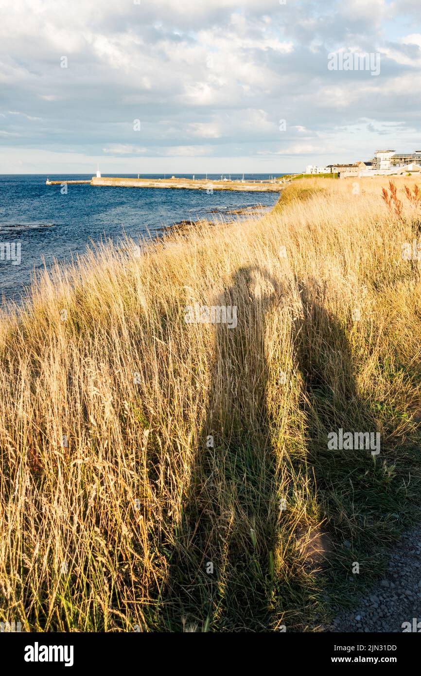 Lange Schatten von zwei Menschen bei Abendsonne im Seahouses, Northumberland, England, Großbritannien Stockfoto