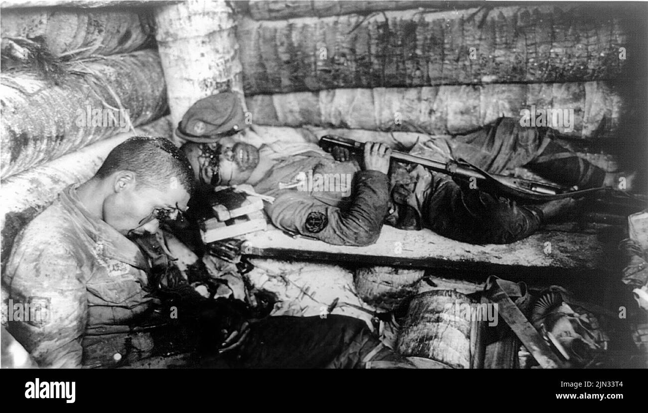 Zwei japanische imperiale Marineinfanteristen, die sich auf Tarawa, Gilbert Islands im Pazifik, beschossen haben, anstatt sich den US-Marineinfanteristen zu ergeben. Von den 2636 japanischen Soldaten auf der Insel blieben nach der Schlacht nur noch 17 am Leben. Die Landungen auf Tarawa waren Teil der US-Offensive gegen die Pazifikinseln, die Japan vor der Vorbereitung eines Angriffs auf das japanische Festland durchgeführt hatte. Stockfoto
