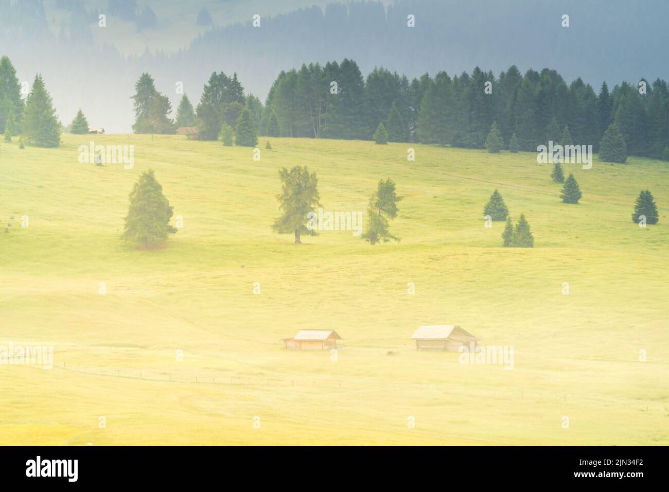 Ätherisch grüne Landschaft mit Blick auf Hütten und Bäume auf sanften Hügeln und Bergen versteckt im Nebel bei Sonnenaufgang der Alp De Suisi, Dolomiten, Italien Stockfoto