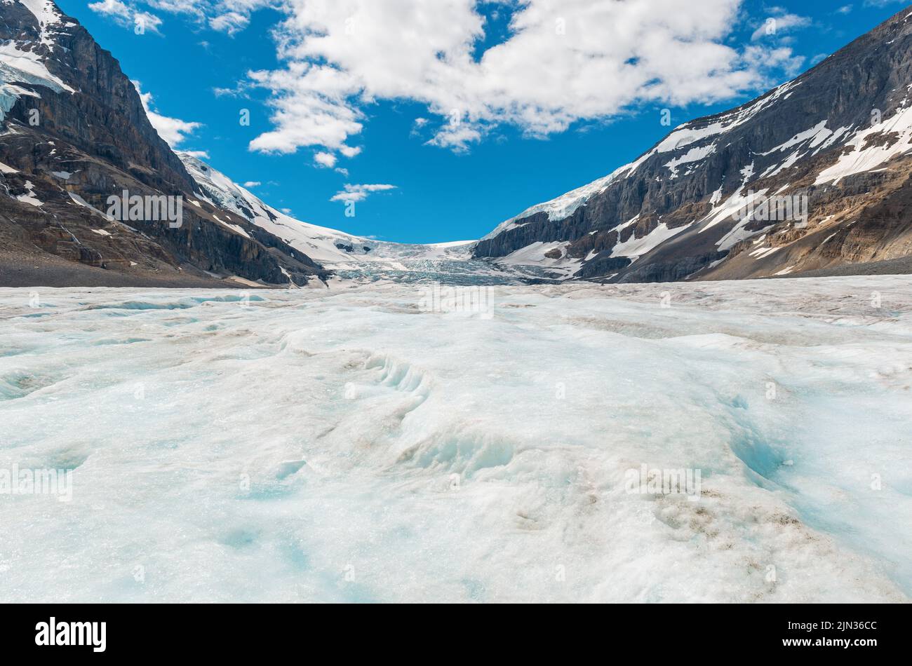 Schmelzender Athabasca-Gletscher im Sommer, Teil des Columbia Icefield, Jasper National Park, Alberta, Kanada. Stockfoto