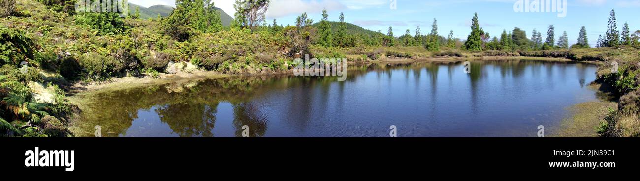 Waldsee in der Serra de Santa Barbara Region, Panoramablick, Terceira, Azoren, Portugal Stockfoto