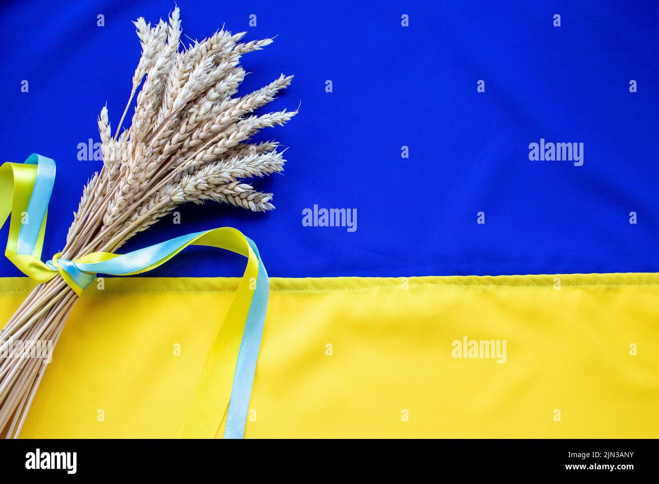 Bouquet von goldenen Weizenohren mit einem gelben und blauen Band auf der Flagge der Ukraine Hintergrund gebunden. Unabhängigkeitstag der Ukraine, Tag der Verfassung, FLA Stockfoto