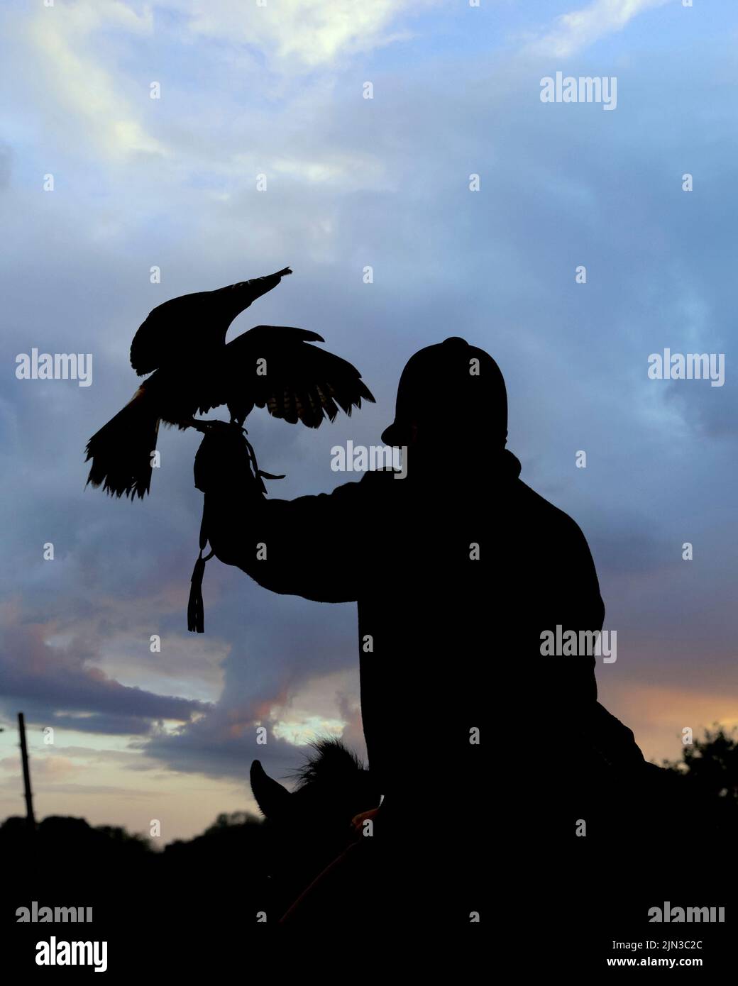 Silhouette eines Falkiers am Ende eines Tages auf der Jagd Stockfoto
