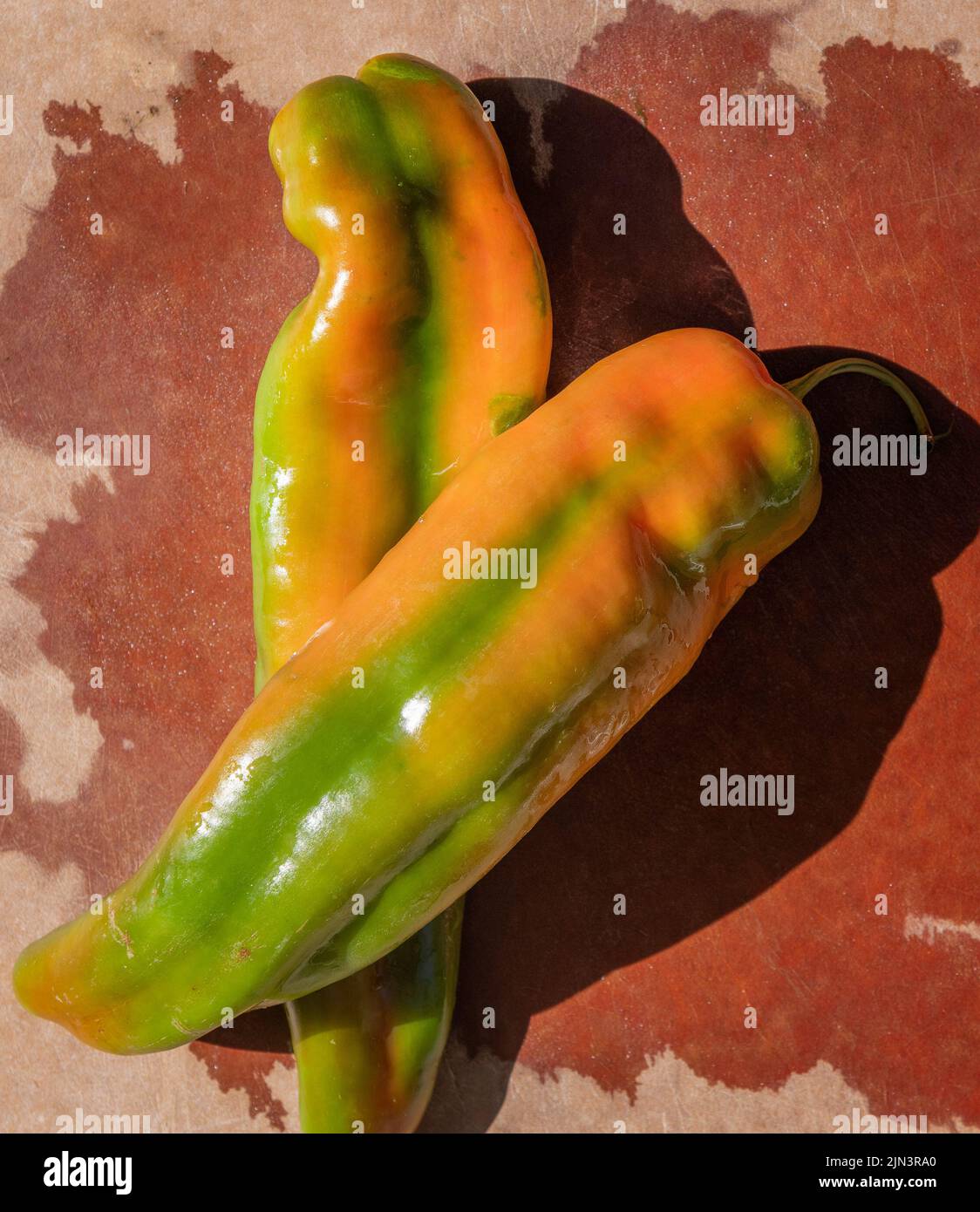 Nahaufnahme von New Mexico Green Chile Peppers. Stockfoto