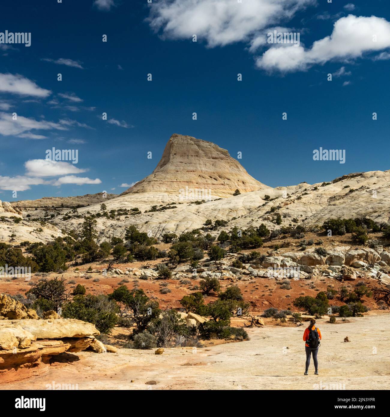 Woman Hiker starrt auf Unnamed Formation im Capitol Reef National Park Stockfoto