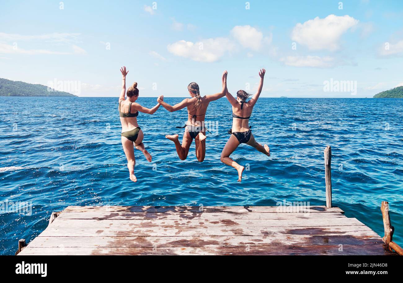 Sind in den Sommer eingetaucht. Rückansicht einer Gruppe junger Frauen, die gemeinsam von einem Pier in den Ozean springen. Stockfoto