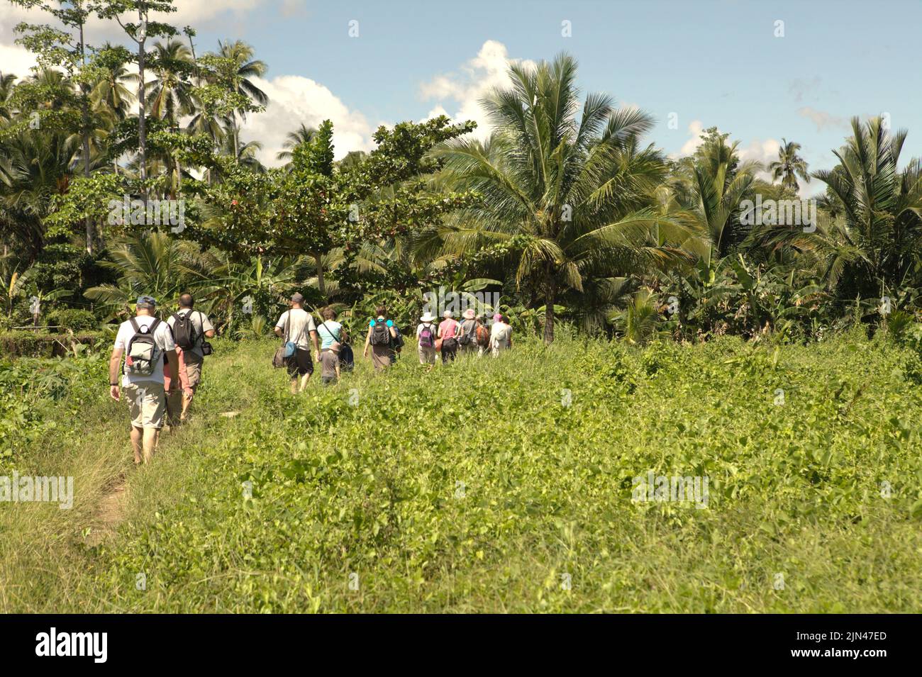 Touristen, die auf einem Pfad zwischen Büschen im Dorf Horale, Seram Utara Barat, Maluku Tengah, Maluku, Indonesien, wandern. Stockfoto