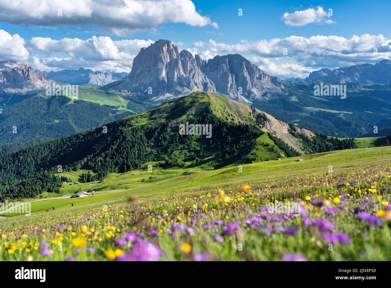 Seceda Peak. Trentino-Südtirol, Dolomiten, Südtirol, Italien. Geislergebirge, Gröden. Majestätischer Furchetta-Gipfel. Odles-Gruppe von der aus gesehen Stockfoto