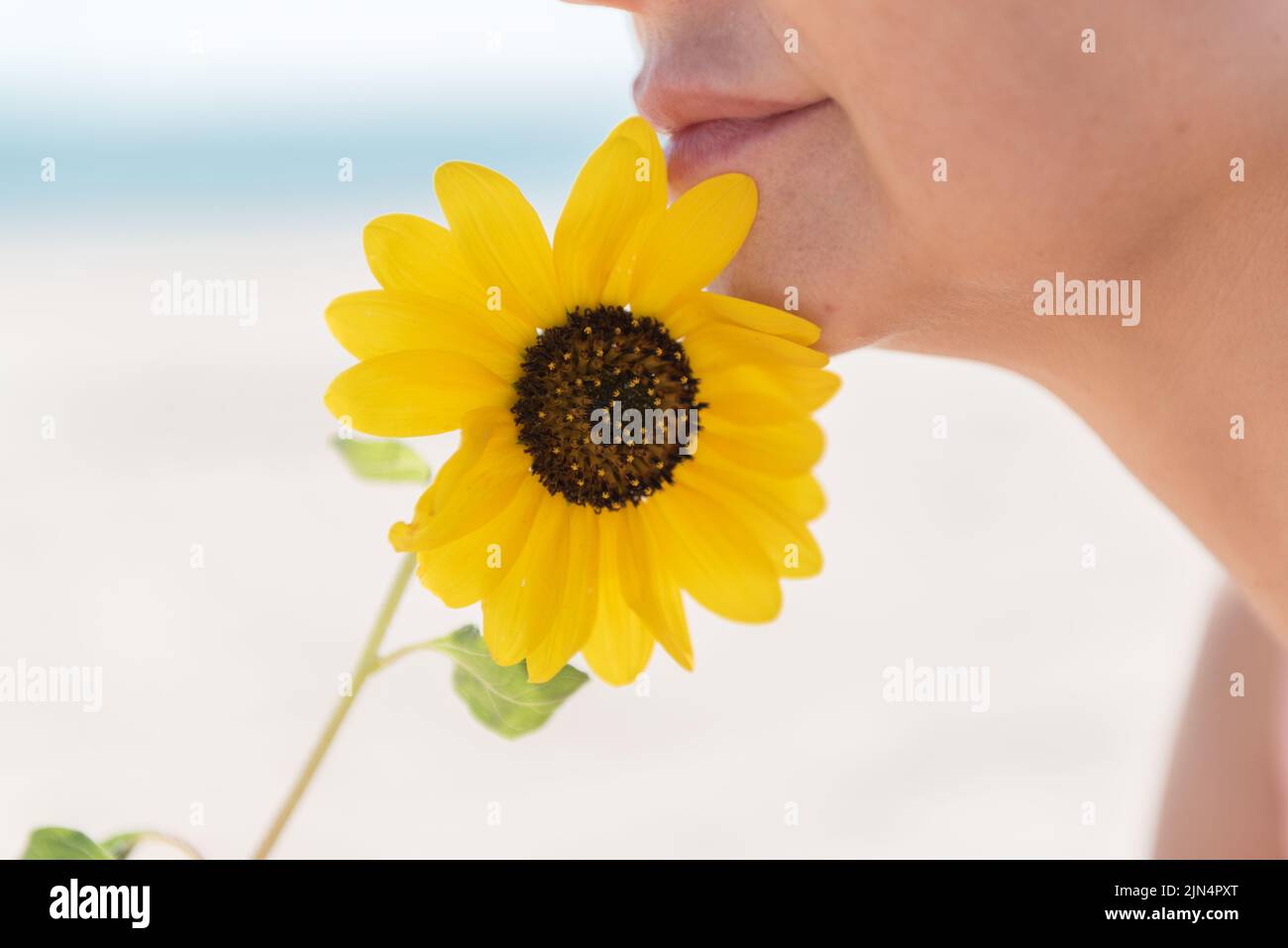 Nahaufnahme der unteren Hälfte des Gesichts einer Frau mit einer Sonnenblume vor einem verschwommenen Hintergrund des Meeres, Seitenansicht. Stockfoto