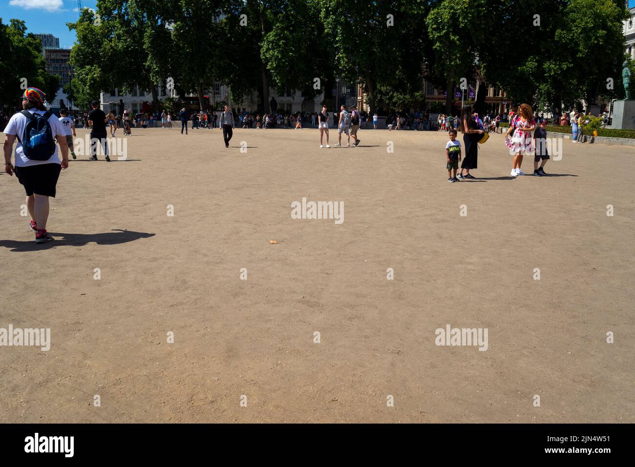 Ausgetrocknete Gegend am Parliament Square, Westminster, London, Großbritannien, die normalerweise mit Gras bedeckt ist, aber in der Hitzewelle zu trockenem Staub geworden ist Stockfoto