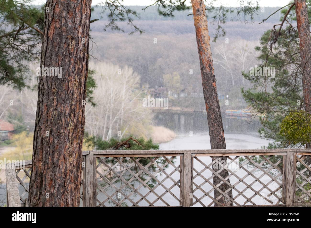 Frühling regnerische ländliche Landschaft Blick auf den Fluss von Aussichtspunkt mit Pinien. Kosakenberg, Korobovy Hutora (Gomilshanski-Wald, Dorf Koropove) Stockfoto