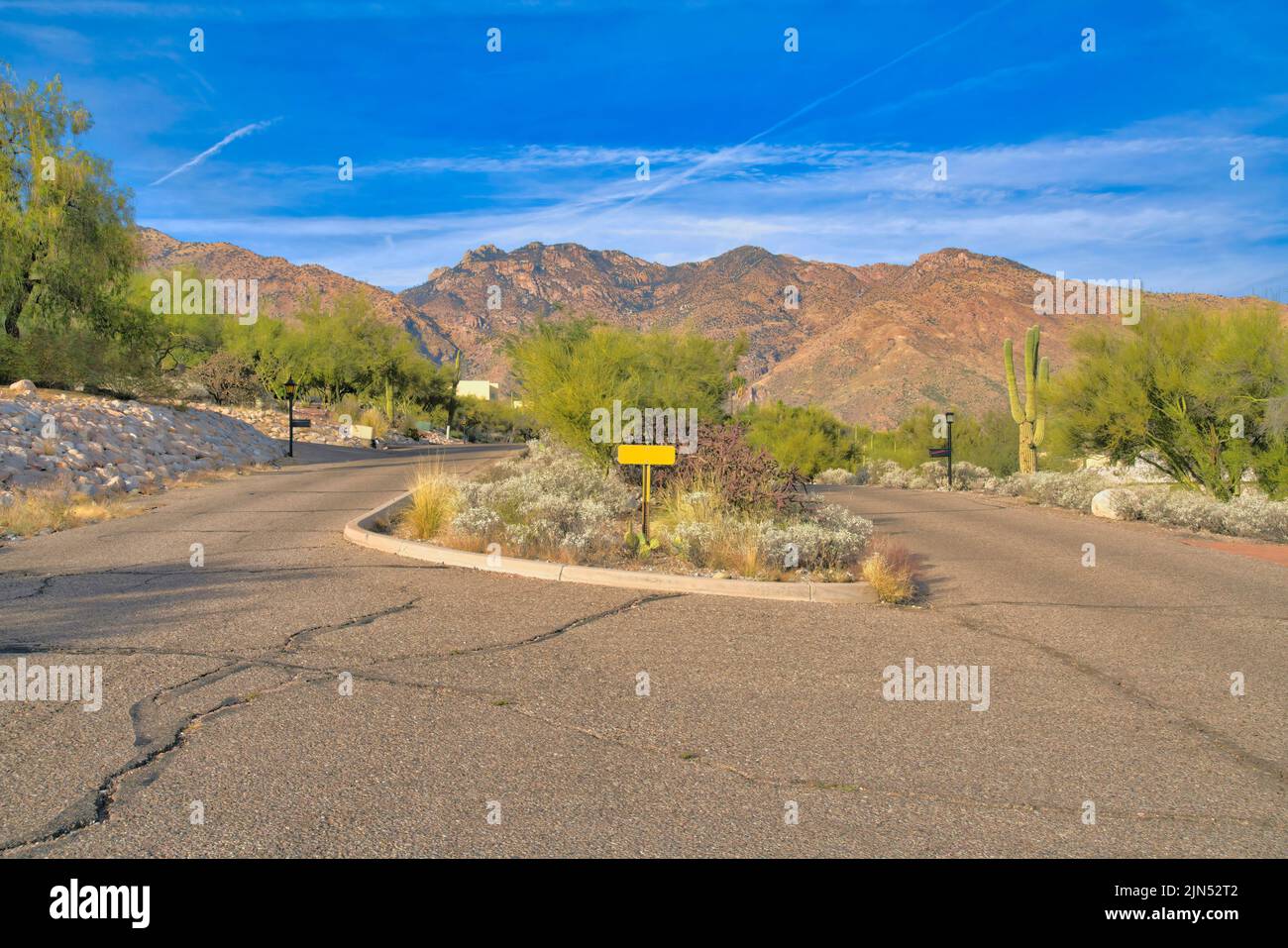 Gesprungene kurvenförmige Straße gegen die Berge in Tucson, Arizona. Es gibt Sträucher und Schilder in der Mitte der Straße und es gibt Lichter auf beiden Seiten. Stockfoto