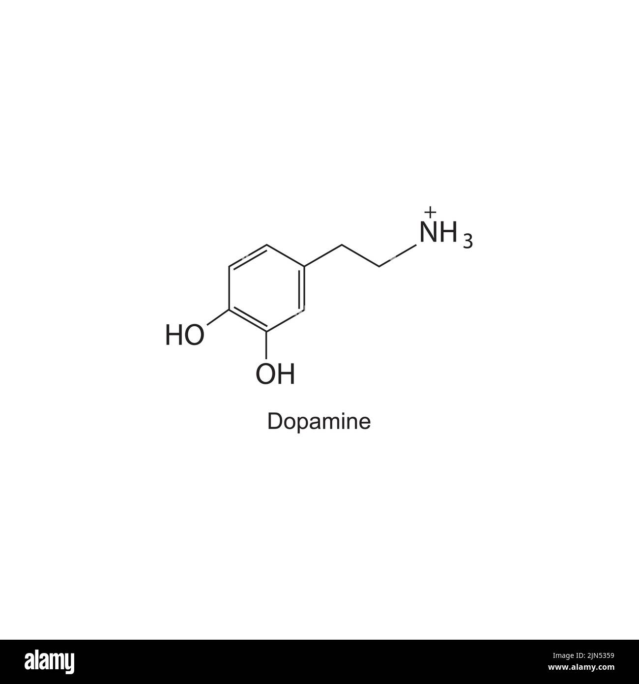 Chemische Struktur des Dopamin-Neurotransmitters auf weißem Hintergrund. Stock Vektor