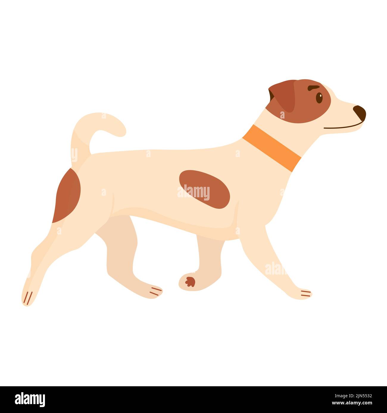 Netter Hund. Häusliche, lustige Hund isoliert auf weißem Hintergrund. Flache Vektorgrafik. Stock Vektor