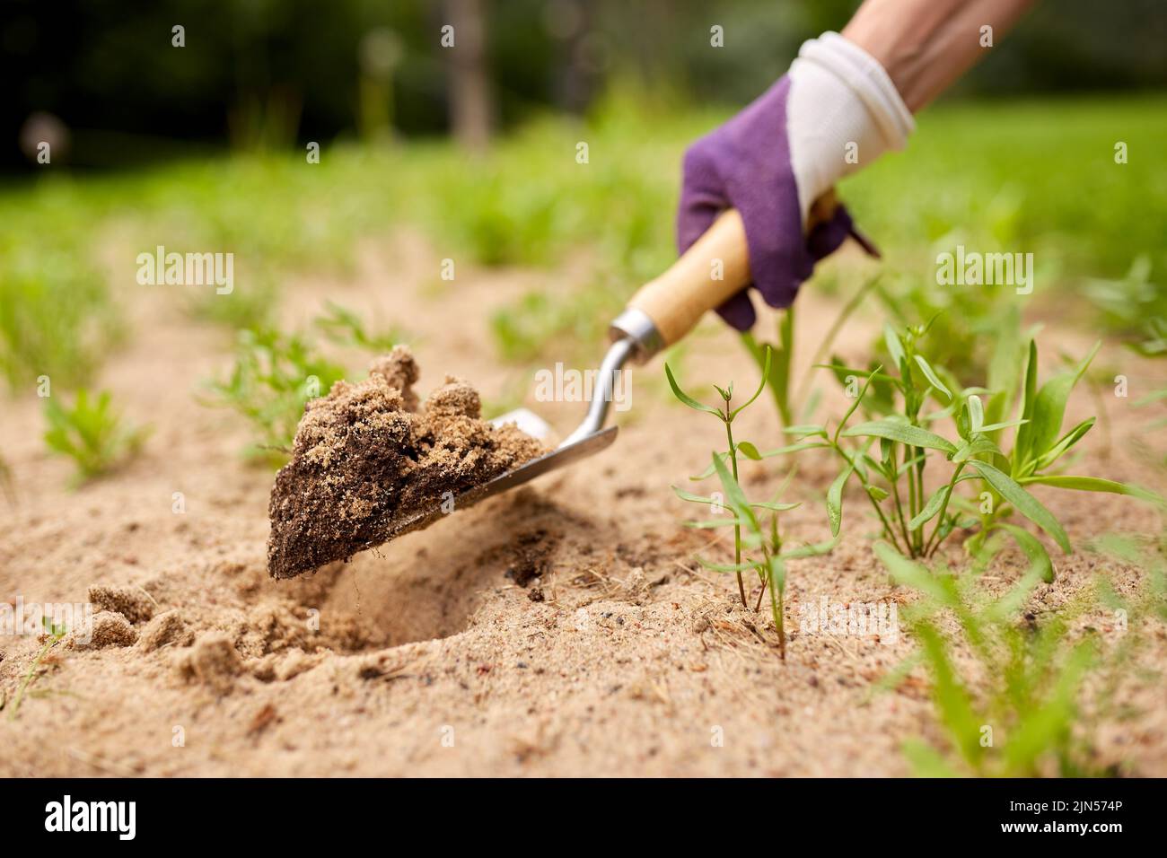 Handgraben Blumenbeet Boden mit Gartenkelle Stockfoto