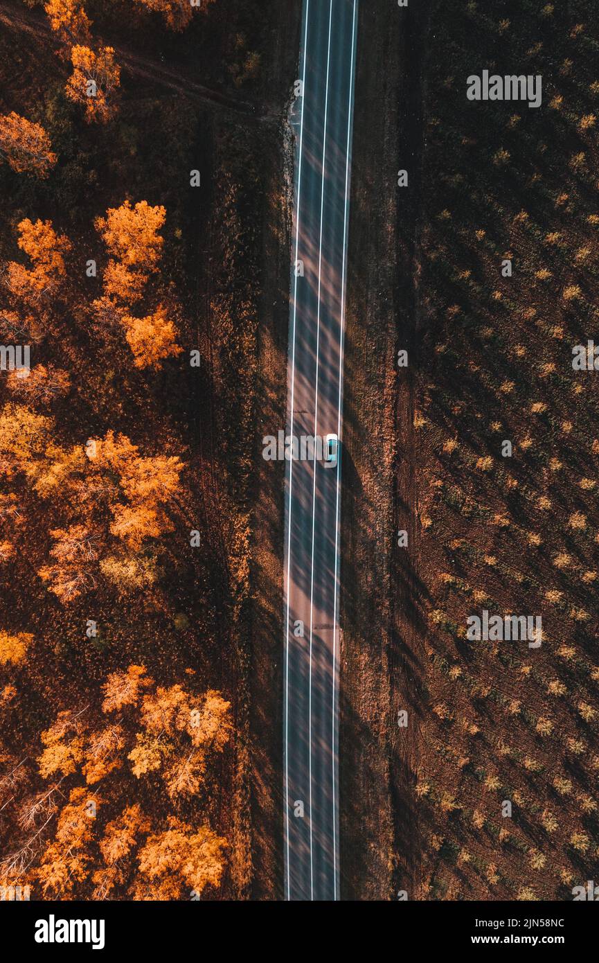 Luftaufnahme eines einzigen weißen Autos auf der Straße durch Laubwald im Herbst, Drone pov des Kraftfahrzeugs auf der Straße nach unten Stockfoto