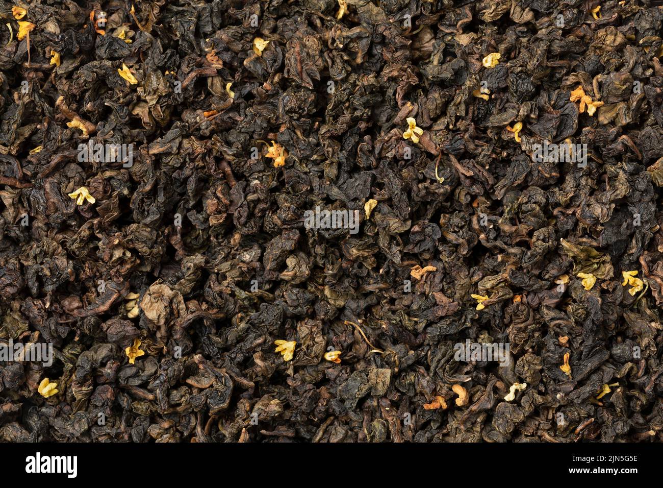 GUI hua Osmanthus getrockneter Tee lässt den ganzen Rahmen als Hintergrund Nahaufnahme Stockfoto