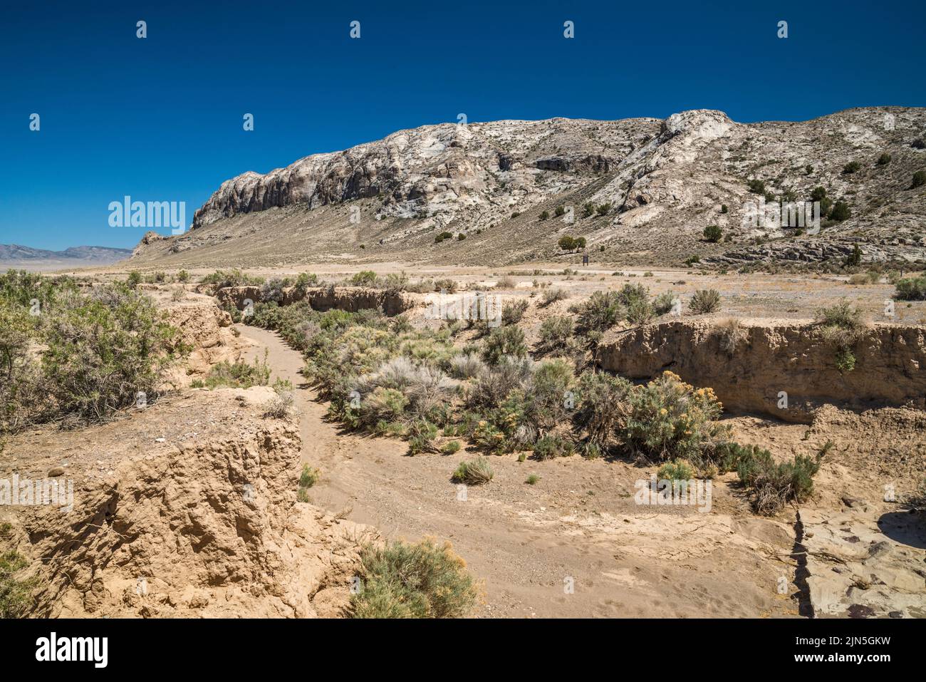 Golden Gate Range, trockenes Flussbett von Cherry Creek, Seaman Wash Road in der Ferne, Water Gap Area, Great Basin Desert, Basin und Range National Park, Nevada Stockfoto