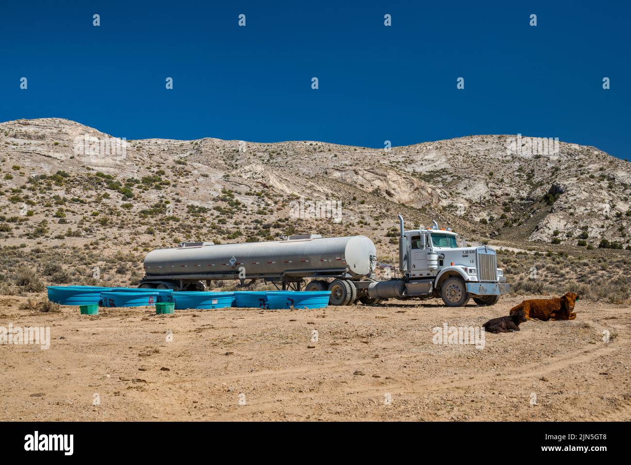 Wassertanker-Sattelschlepper, der Wasser an Rinder in der Water Gap Area, Great Basin Desert, Basin und Range National Monument, Nevada, USA, liefert Stockfoto