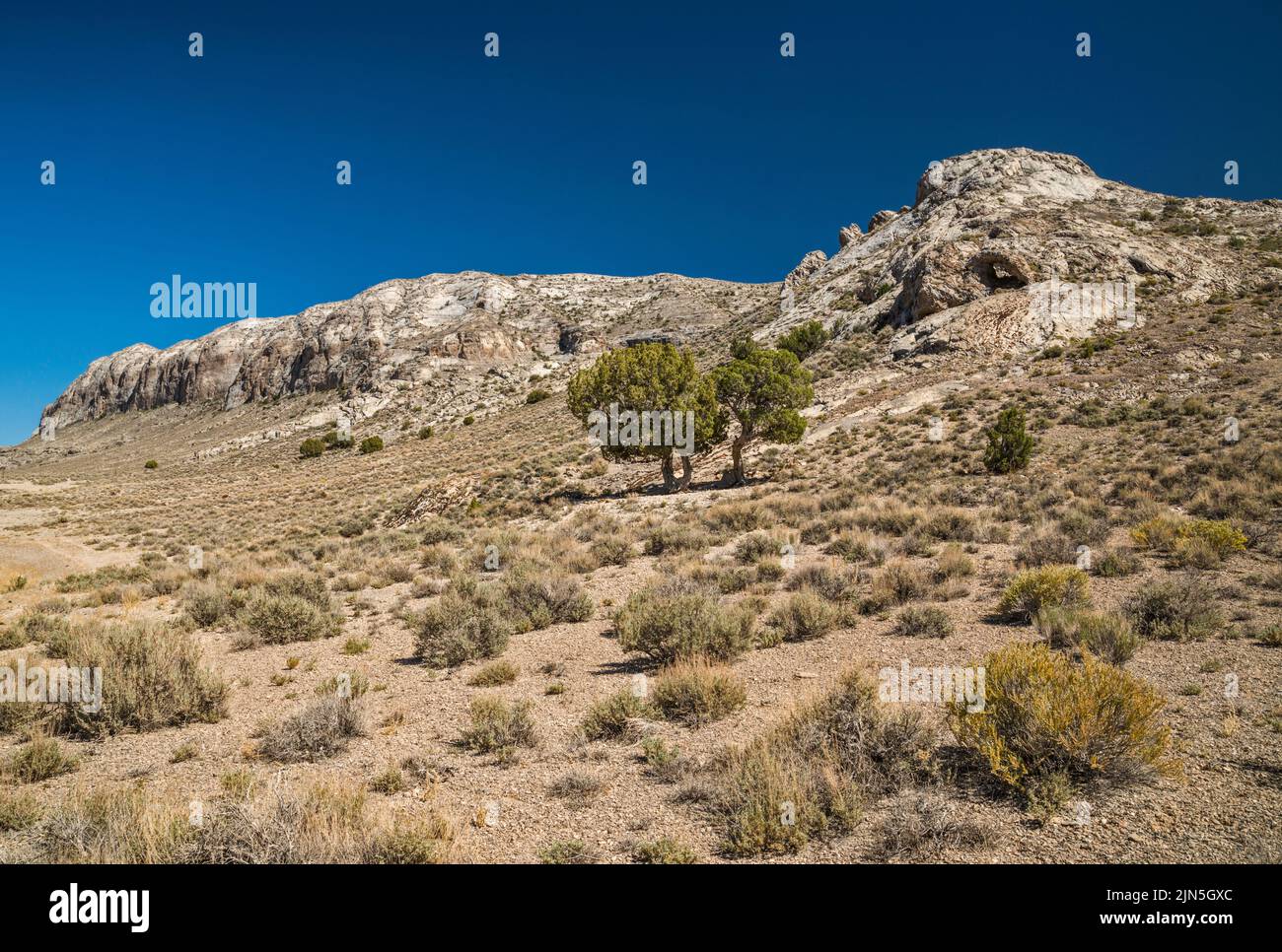 Golden Gate Range, Blick von der Seaman Wash Road, Water Gap Area, Great Basin Desert, Basin und Range National Monument, Nevada, USA Stockfoto