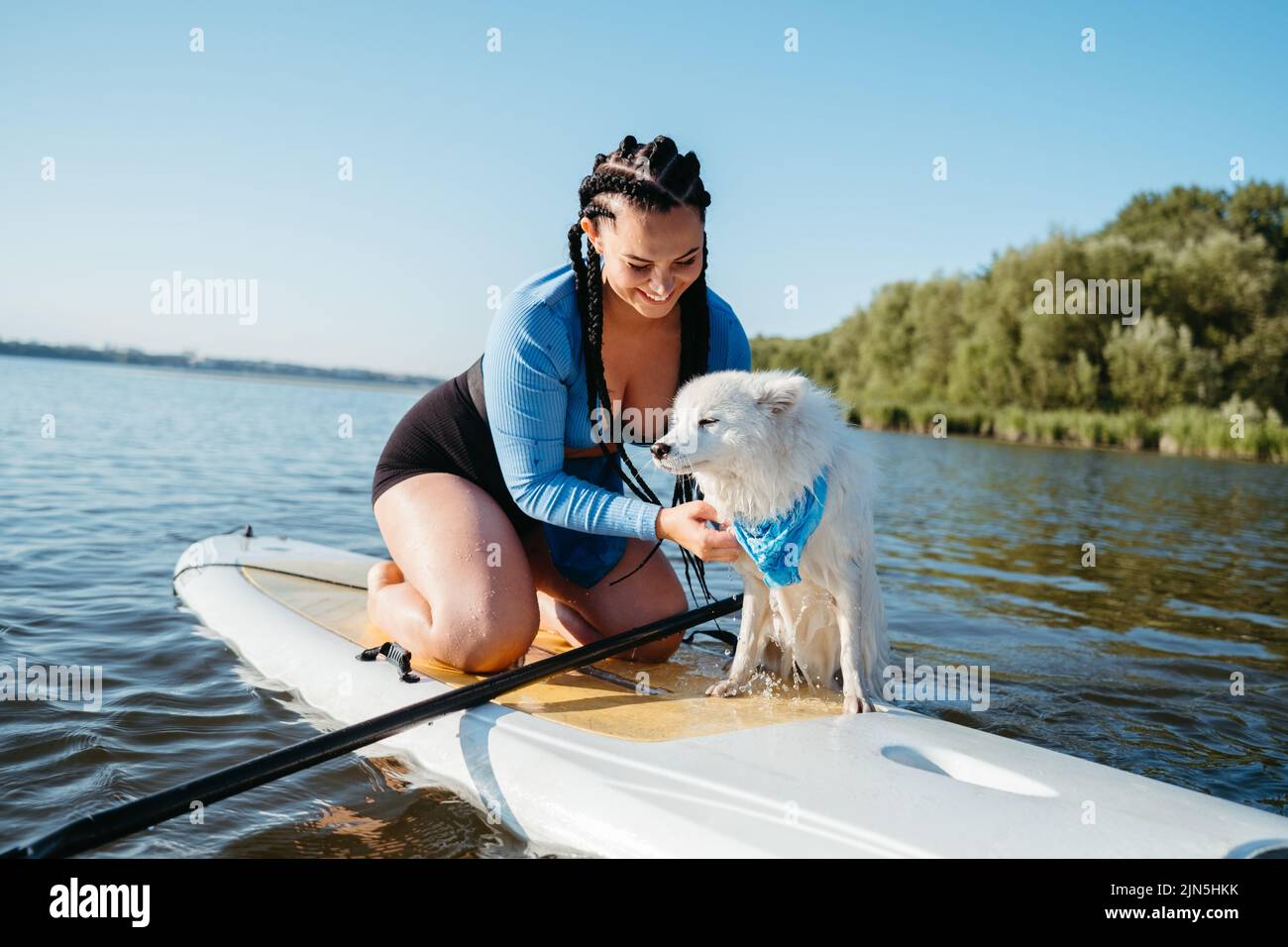 Fröhliche Frau mit Loks, die ihrem Hund helfen, japanischen Spitzkopf aus dem Wasser zu holen, während sie auf dem Sup Board auf dem See sitzt Stockfoto