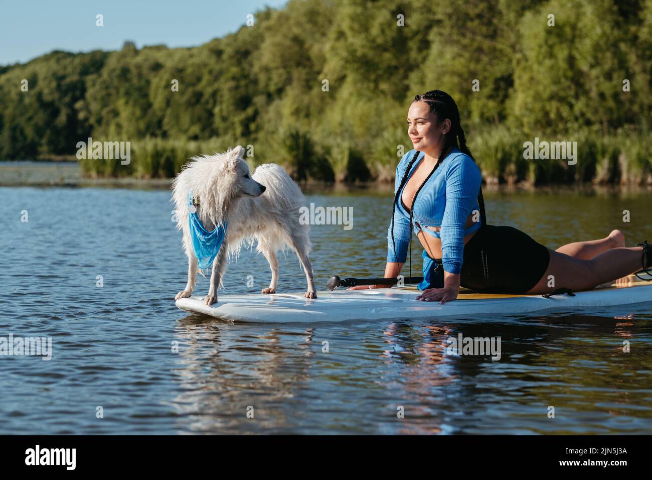 Frau beim Stretching mit ihrem Haustier auf dem City Lake, verschneite japanische Spitz Dog, die auf dem Sup Board steht Stockfoto