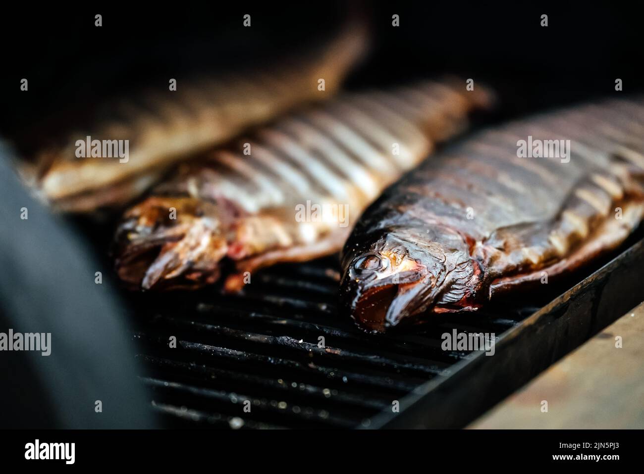 Regenbogenforelle auf Grill bbq geräuchert. Stockfoto