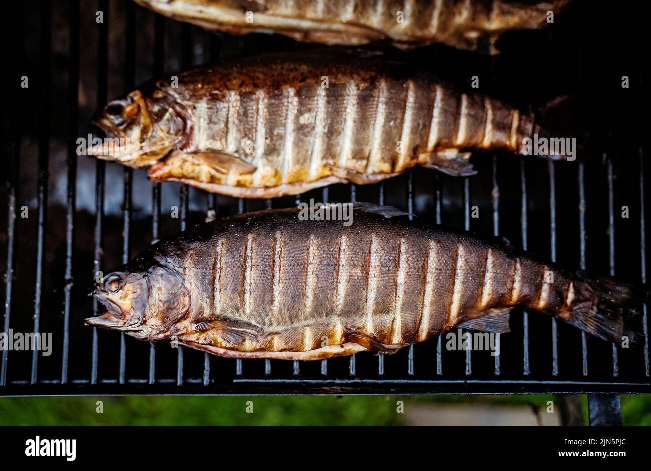 Regenbogenforelle auf Grill bbq geräuchert. Stockfoto
