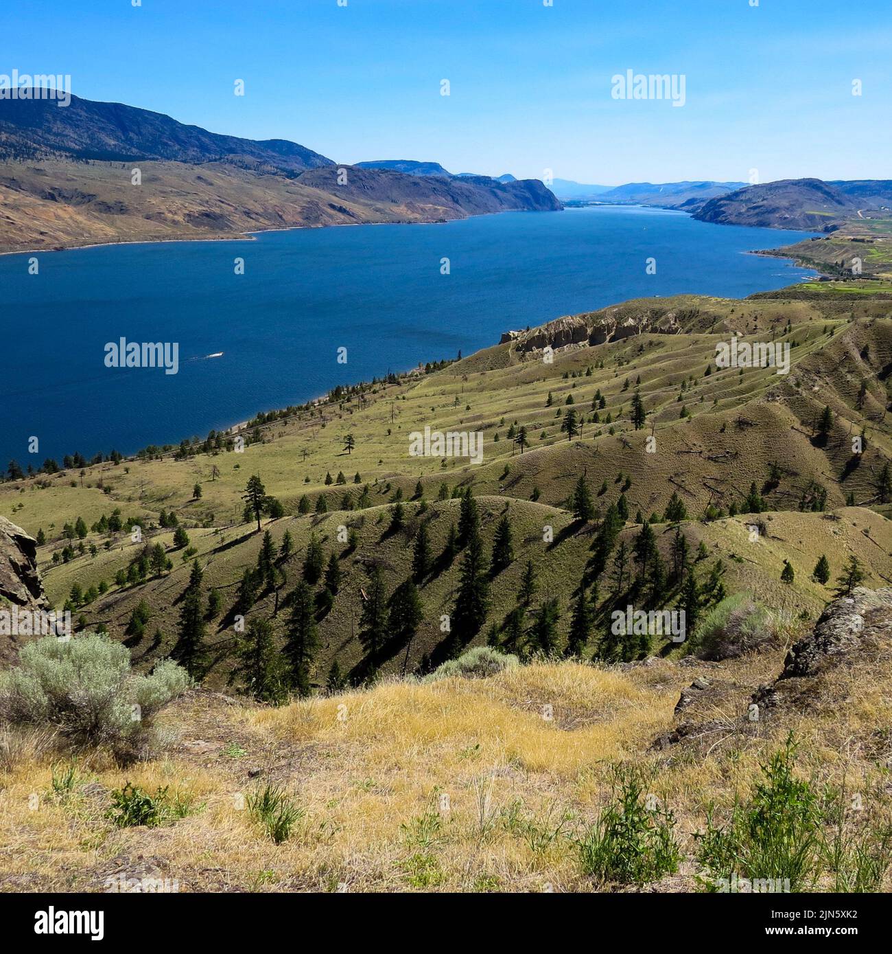 Eine Luftaufnahme des Kamloops Lake in British Columbia Stockfoto