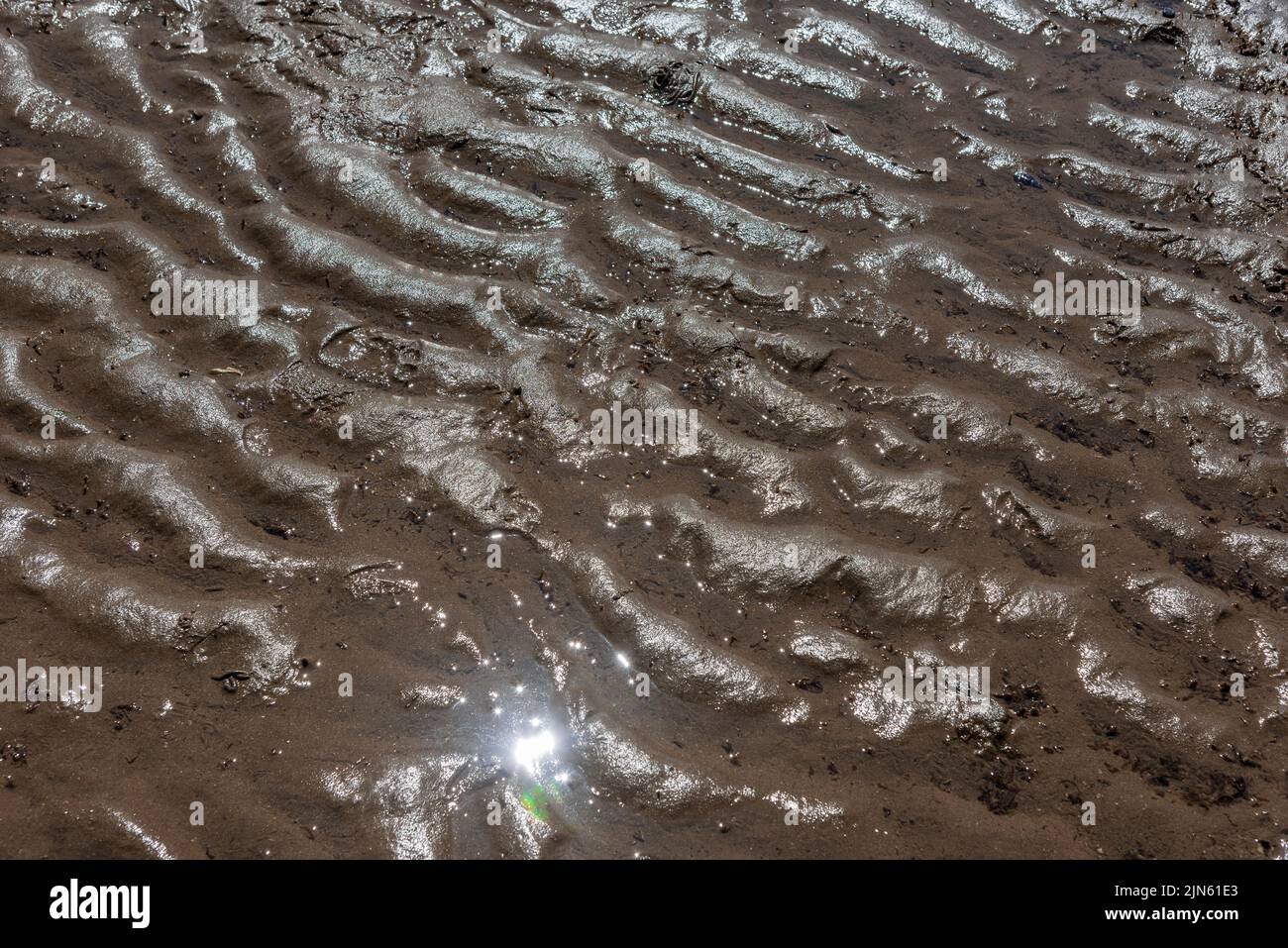 Wellenmuster im sand Stockfoto