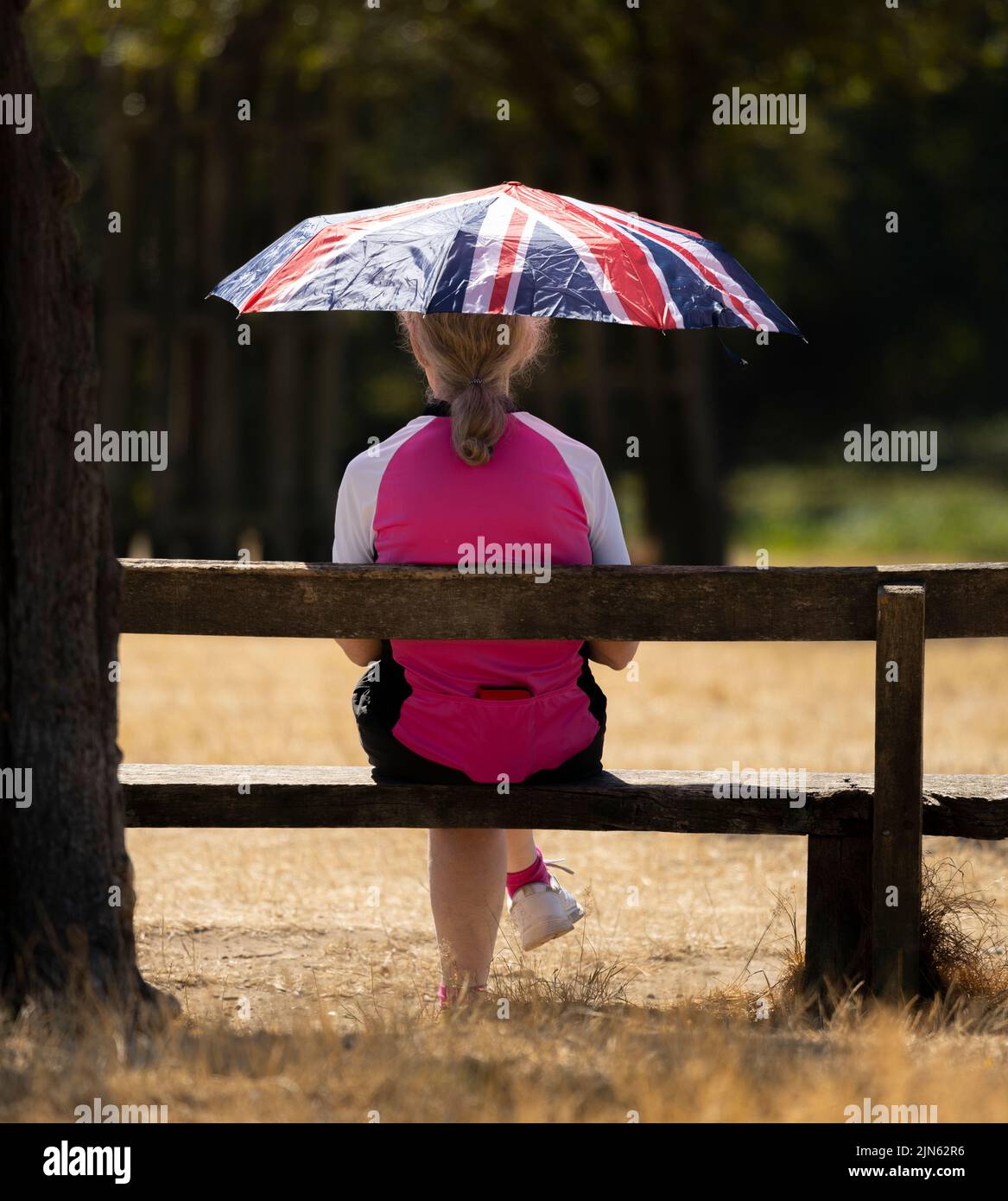 Frau, die auf einer Parkbank sitzt, mit einem Regenschirm, der bei einer Hitzewelle vor der starken Sonne schützt, London, Großbritannien Stockfoto