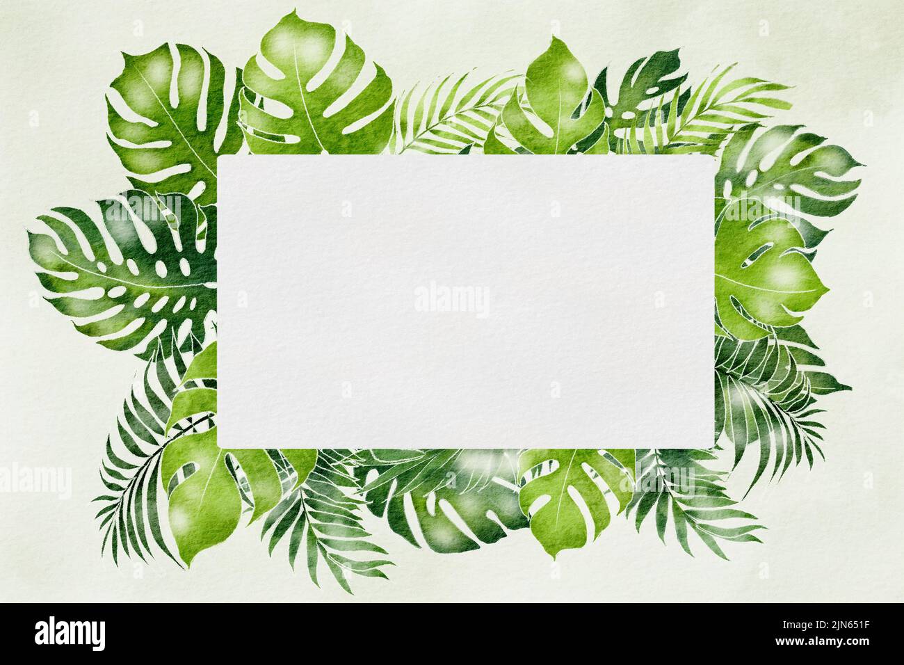 Natürlicher Rahmen Aquarellhintergrund in Grün mit Blattrand auf weißem Aquarellhintergrund Stockfoto