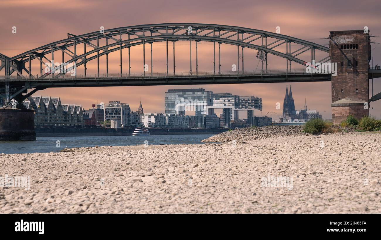 Niedrigwasser des Rheins in Köln, Dürre in Deutschland Stockfoto