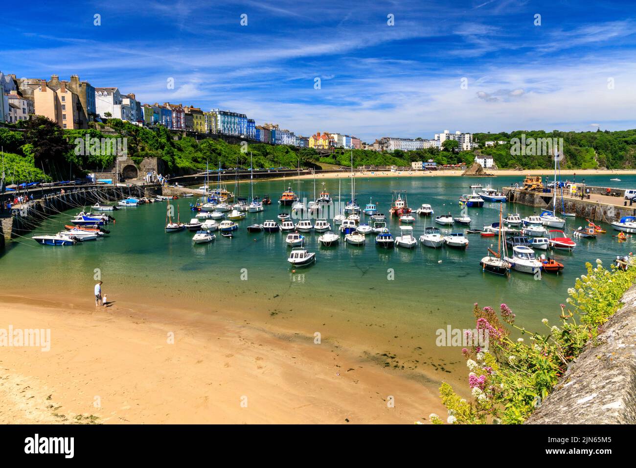Der malerische geschützte Hafen wird von Reihen farbenfroher Häuser in Tenby, Pembrokeshire, Wales, Großbritannien, überblickt Stockfoto