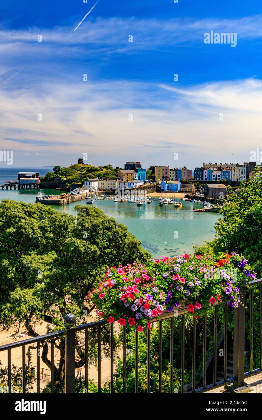 Der malerische geschützte Hafen wird von Reihen farbenfroher Häuser in Tenby, Pembrokeshire, Wales, Großbritannien, überblickt Stockfoto